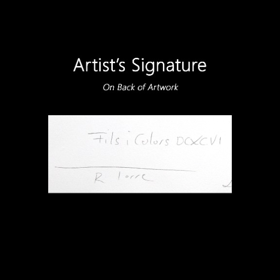 Raul de la Torre: Fils I Colors DCXCVI image 7